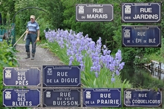 Cliquez sur la vignette pour l'agrandir